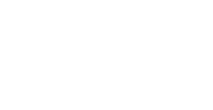 BD Business Digitais